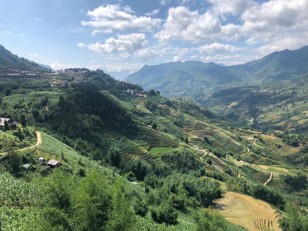 Reisterrassen in der Region Sa Pa, Nordvietnam.