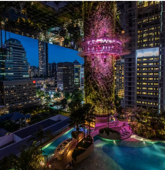 Die begrünte Forest-Terrasse mit beleuchteter Pflanzensäule und Lagune — offener Erlebnisraum inmitten der Stadt.